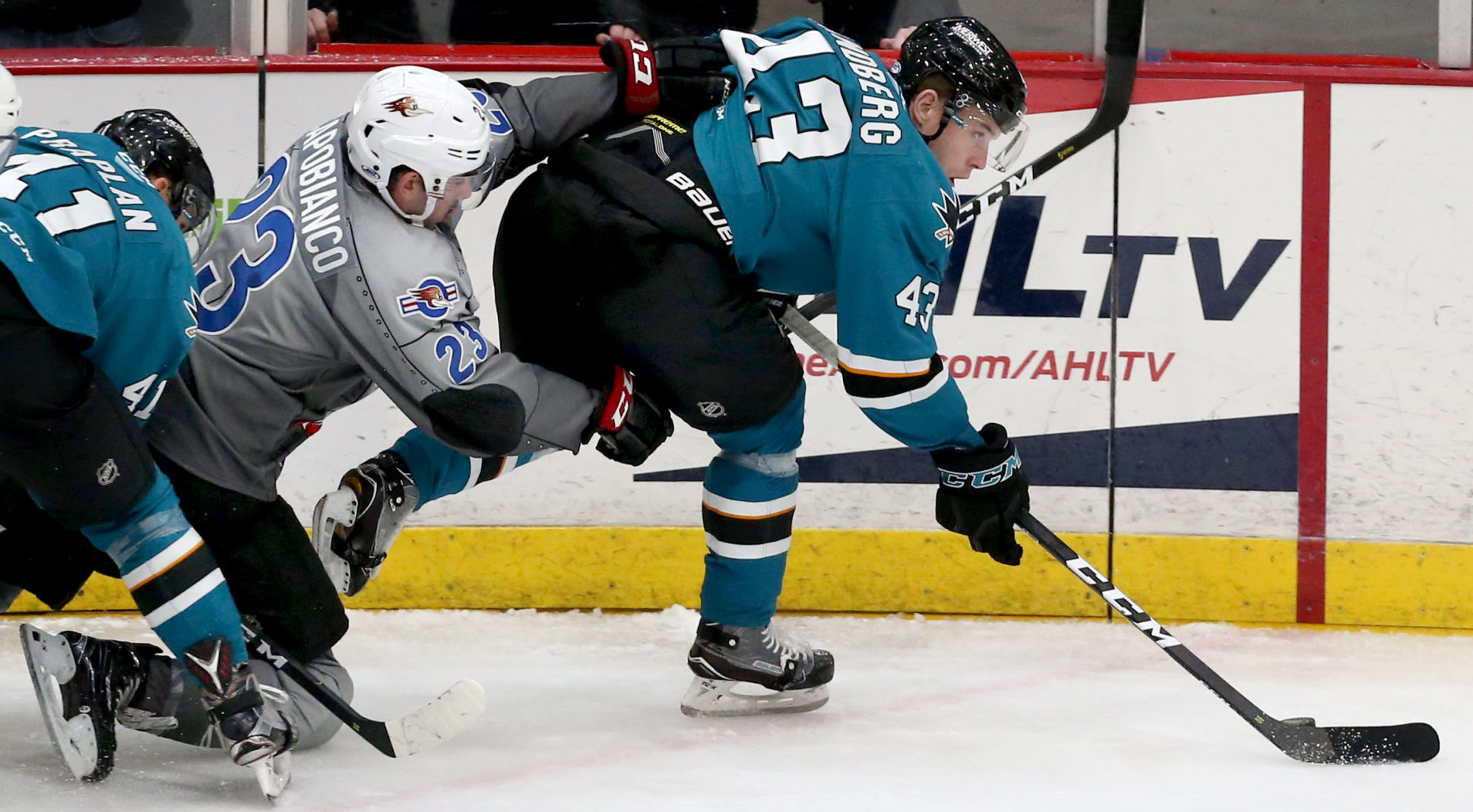 Roadrunners vs San Jose
